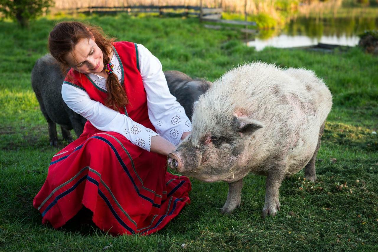 Appartamento Tierstiftung Eulalia Babieta Esterno foto